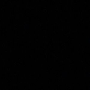 Meet your Posher, Cecilio